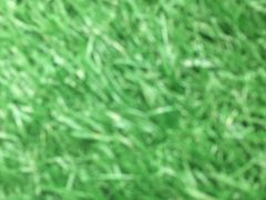 -欧洲被害犹太人纪念碑