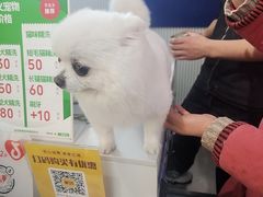 -它主义宠物(梁溪万达店)