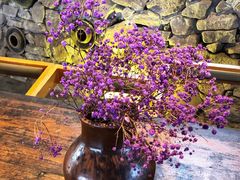 -远山有窑