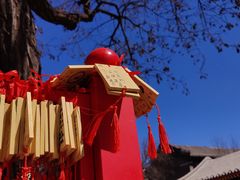-天津大悲禅院