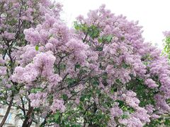 -长椿街(地铁站)