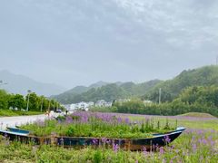 -新安江山水画廊风景区