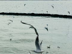 -苏州吴中太湖旅游区