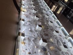-青岛贝壳博物馆