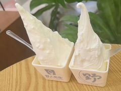 -野人先生Gelato(上海长宁龙之梦店)