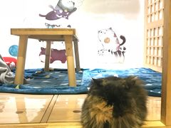 -小时光咖啡馆(开森度假森林店)
