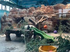 -石家庄市动物园