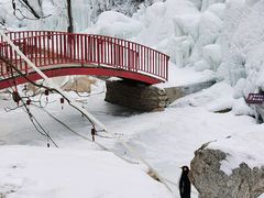 -黑龙潭风景区