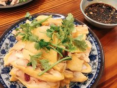 -九斤黄三黄鸡专卖店