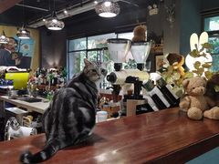 大堂-咖法森林·咖啡  酒吧(天河店)