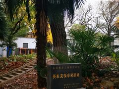 -芝士牛炭火烤肉