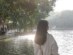 -荔湾湖公园