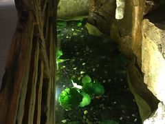 -御池园(顾村公园店)
