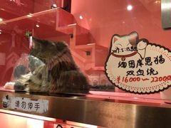 -天泽祥·鼓楼馒头(鼓楼店)