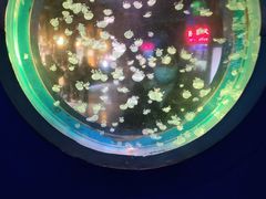 -太平洋海底世界