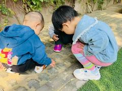 -满天星幼儿园(北京太阳宫园)