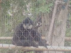 -武汉动物园