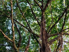 -北海市海滨公园