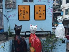 -猫咪博物馆(顶澳仔猫街店)