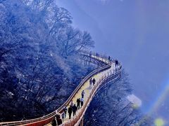 -少华山国家森林公园