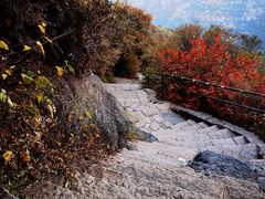 -香山公园