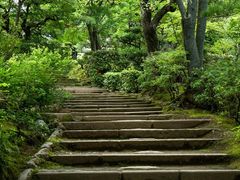 -常寂光寺