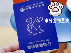 -申普宠物医院·心脏介入·心血管微创(总院)