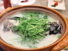 浓汤千岛湖鱼头-怡和春天大酒楼(柳芳店)