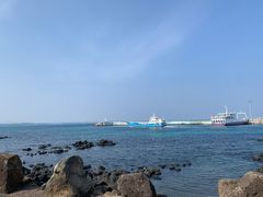 -涉地可支