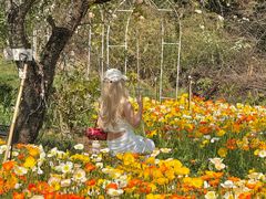 -名花谷生态庄园