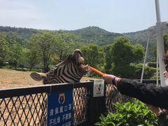 -无锡动物园·太湖欢乐园