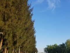 -宝安西湾红树林湿地公园