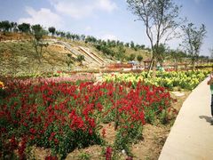 -绵阳盛世樱花悠乐谷