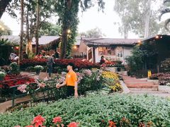 -Fern Forest Cafe