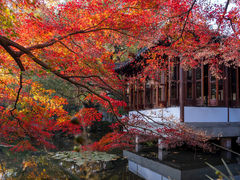 -郭庄景区