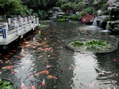 -桃园盛宴·岭南粤菜·手工茶点(南庄店)
