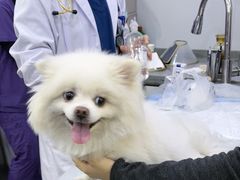 -萌兽医馆·绝育·24小时内科·宠物医院(德胜店)
