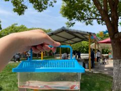 -上海海湾国家森林公园