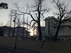 -八大关景区