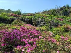 -桃花岭景区