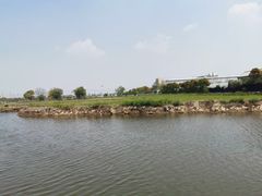 -南汇老顾农家乐采摘大团水蜜桃采摘店