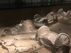 -洛阳周王城天子驾六博物馆