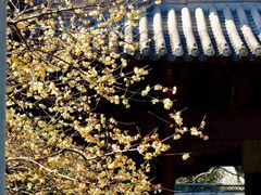-钱王祠
