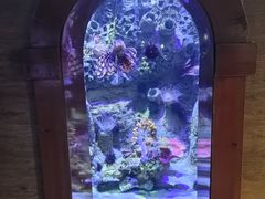 -太平洋海底世界