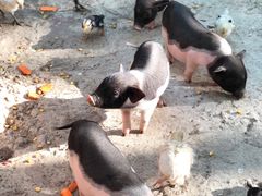 -昆山城市生态森林公园