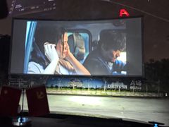 -枫花园汽车电影院(朝阳公园店)