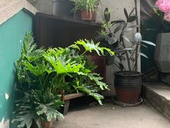 -知物癖(牛王庙店)