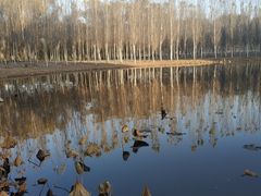 -东郊湿地公园