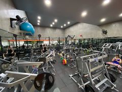 -健身专家Wellness Experts