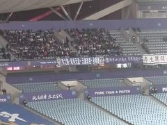 -南京奥林匹克体育中心-体育馆